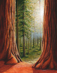 final switchback nature-inspired print of Redwood National Park, California, by artist Katie Jeanne Reim