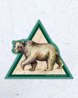 final switchback vinyl waterproof sticker featuring Katie Jeanne Reim's bear print