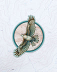final switchback vinyl waterproof sticker featuring Katie Jeanne Reim's hawk print