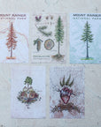 Rainier Collection Postcard Set RC: 100% to WTA