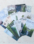 Rainier Collection Postcard Set RC: 100% to WTA