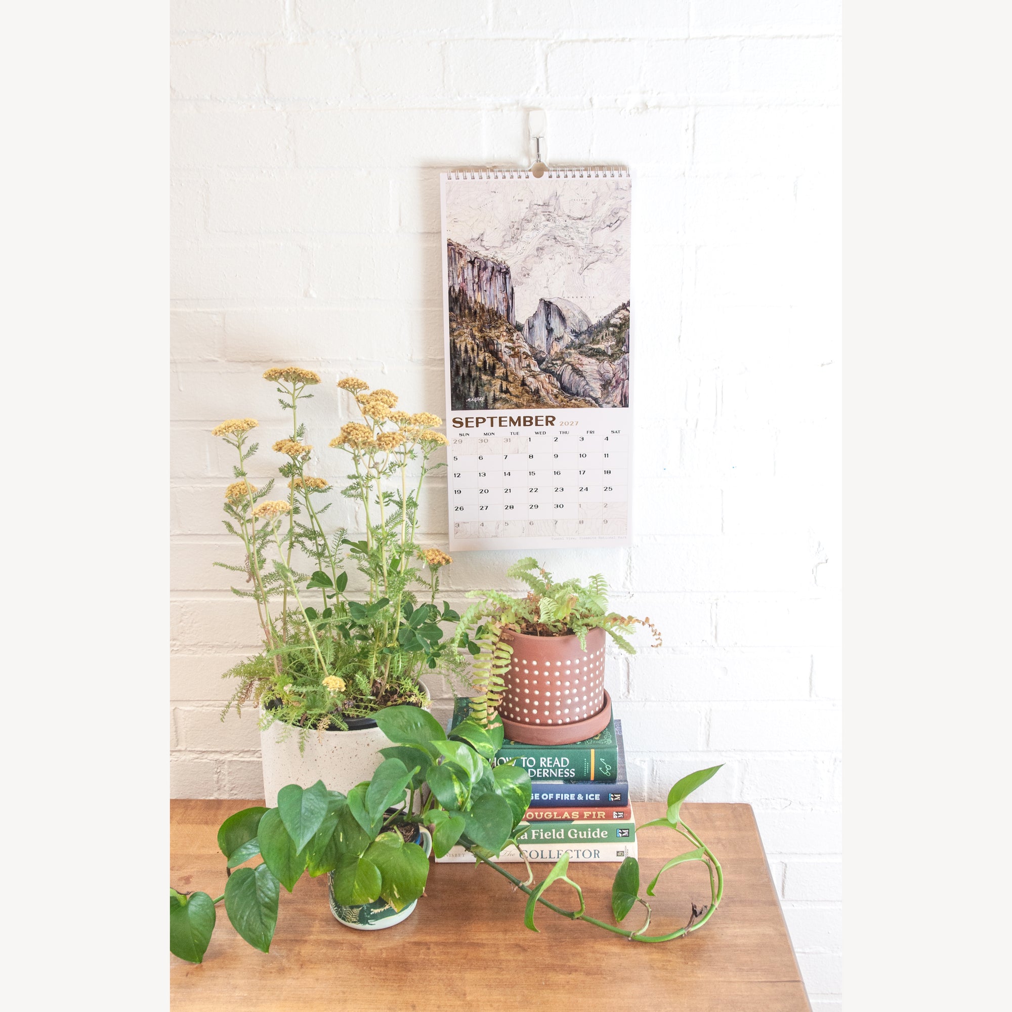 National Parks 2027 Wall Calendar PREORDER