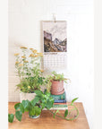 National Parks 2027 Wall Calendar PREORDER