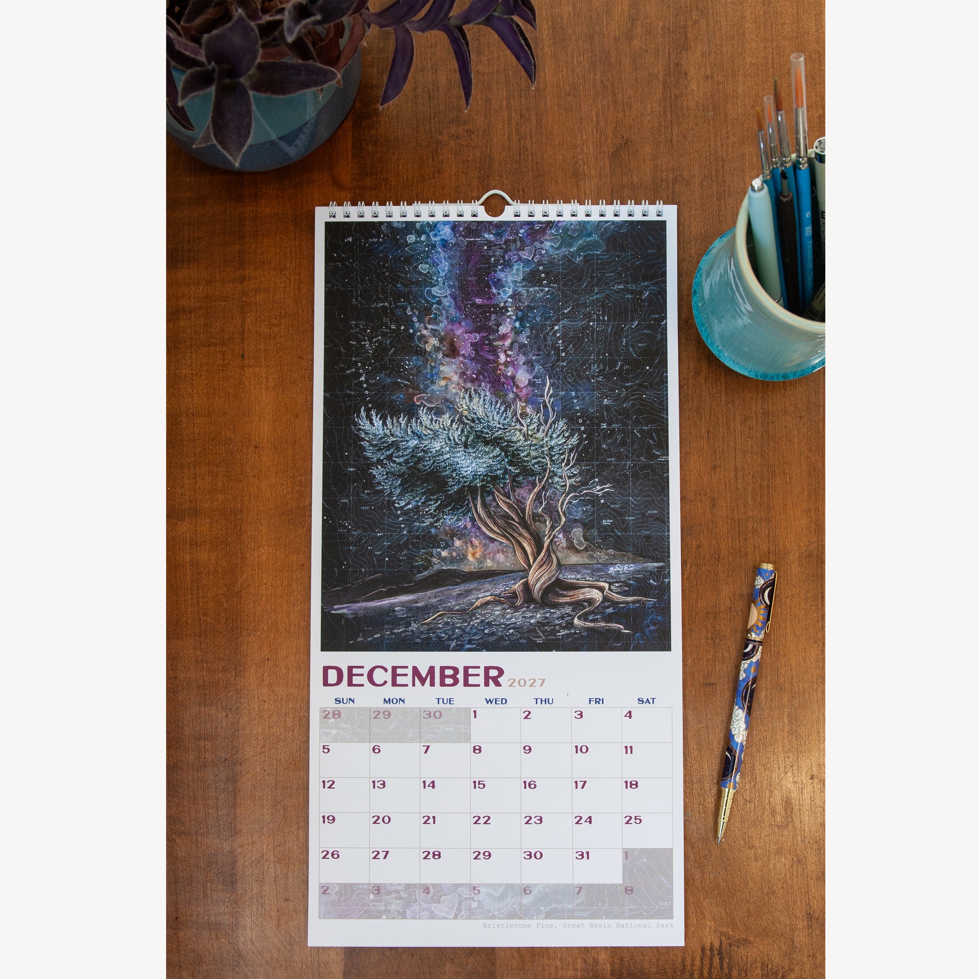 National Parks 2027 Wall Calendar PREORDER