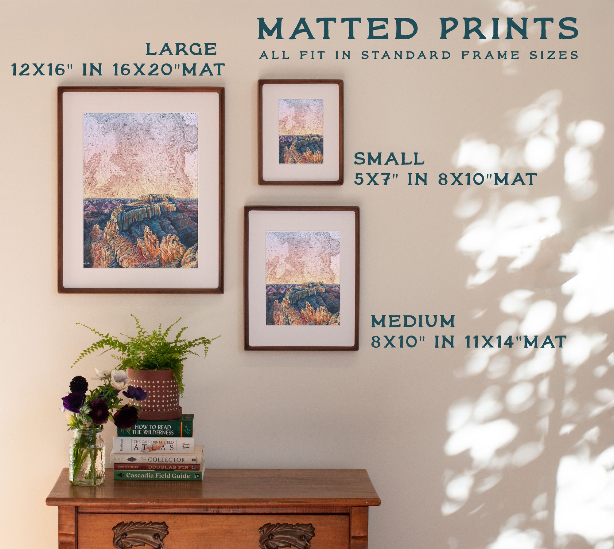 Grand Canyon Cape Royal Print