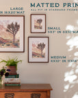 Joshua Tree Print