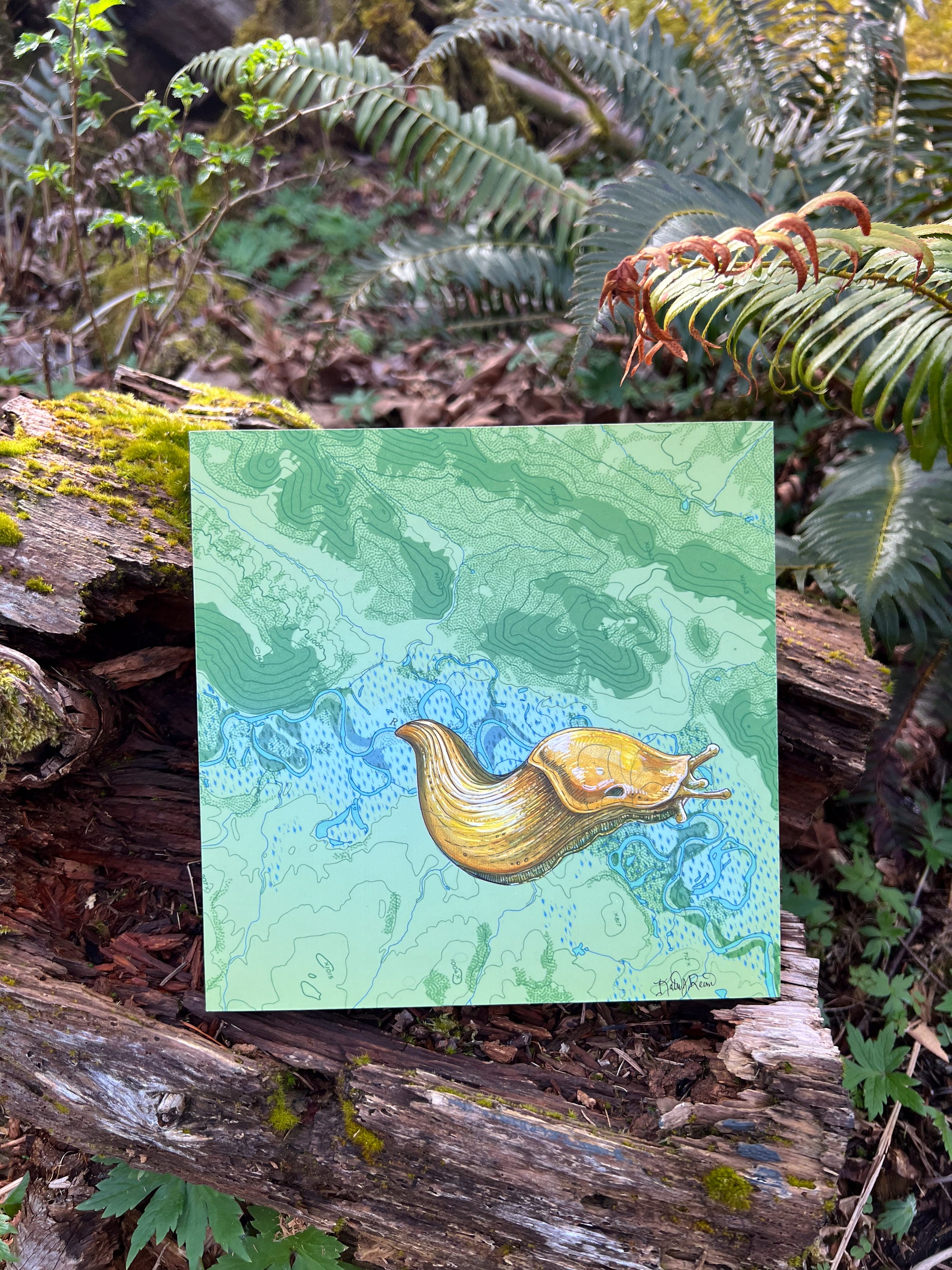 Banana Slug Original RC Painting: 25% to NPCA