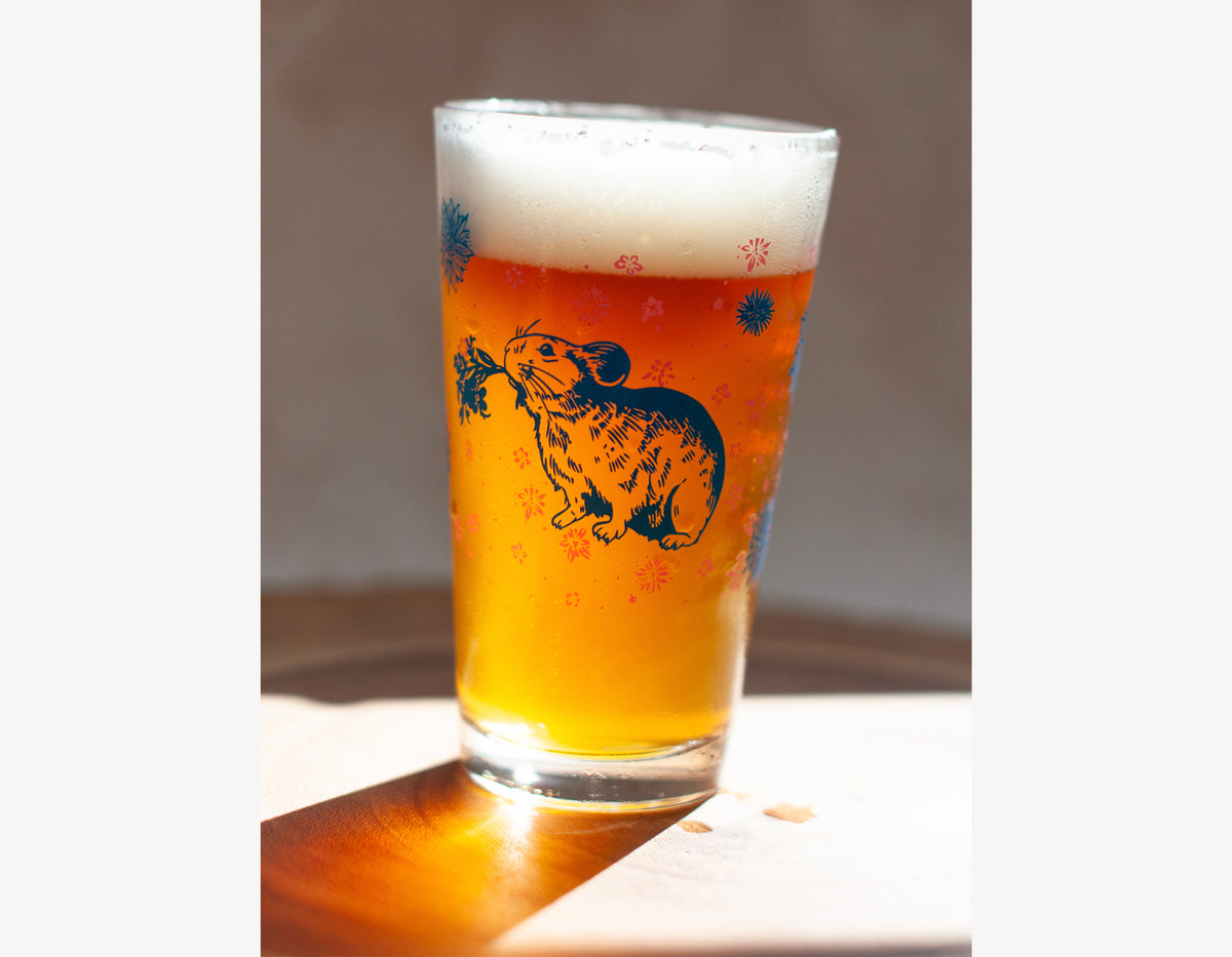 Pint Glasses