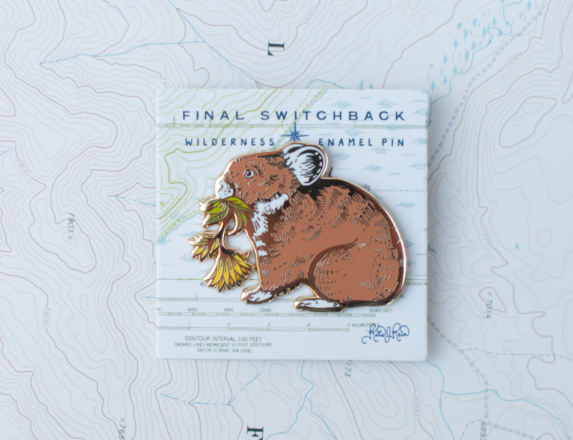 Enamel Pins