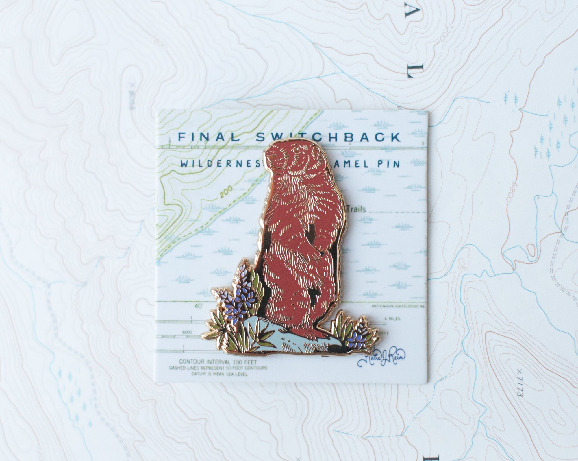 Enamel Pins