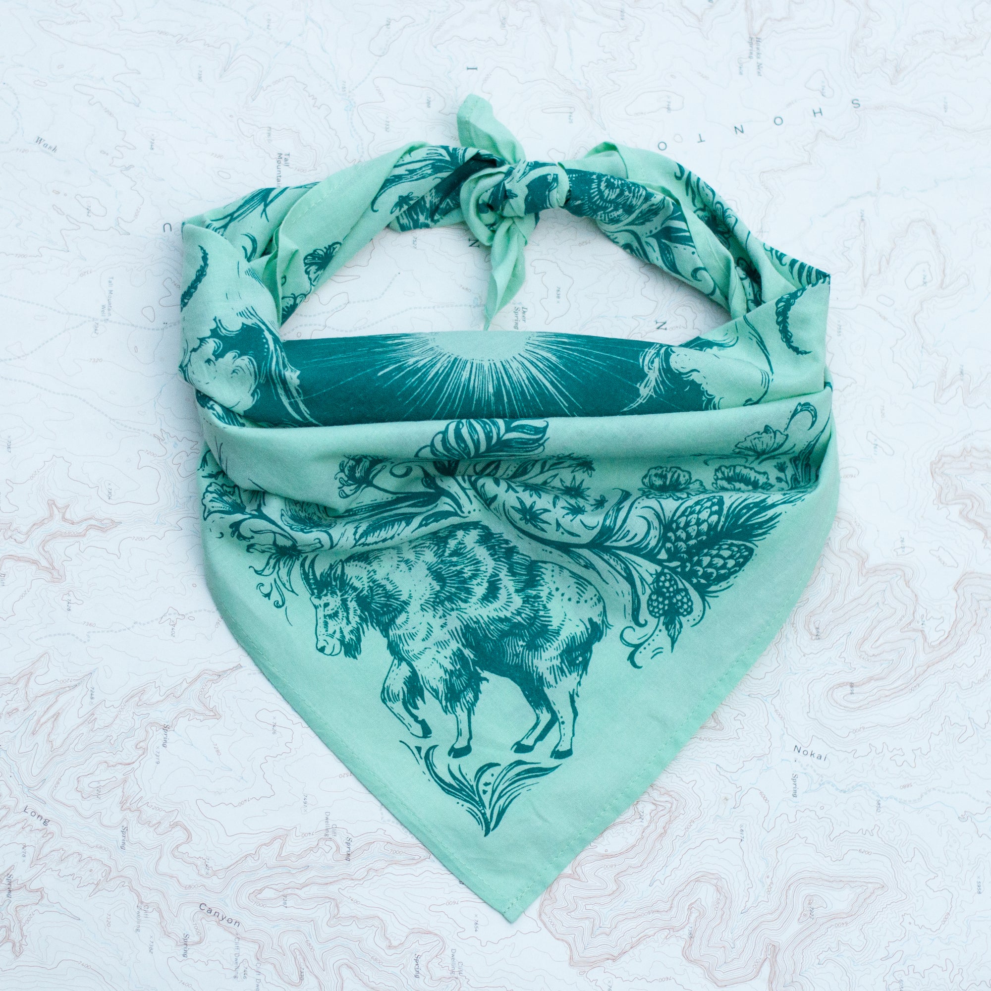final switchback cotton bandana in mint featuring artist Katie Jeanne Reim's prints