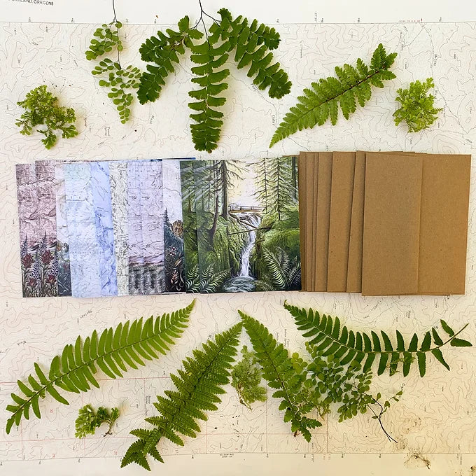 final switchback&#39;s greeting cards laid out on a topography map with foliage featuring prints by artist Katie Jeanne Reim