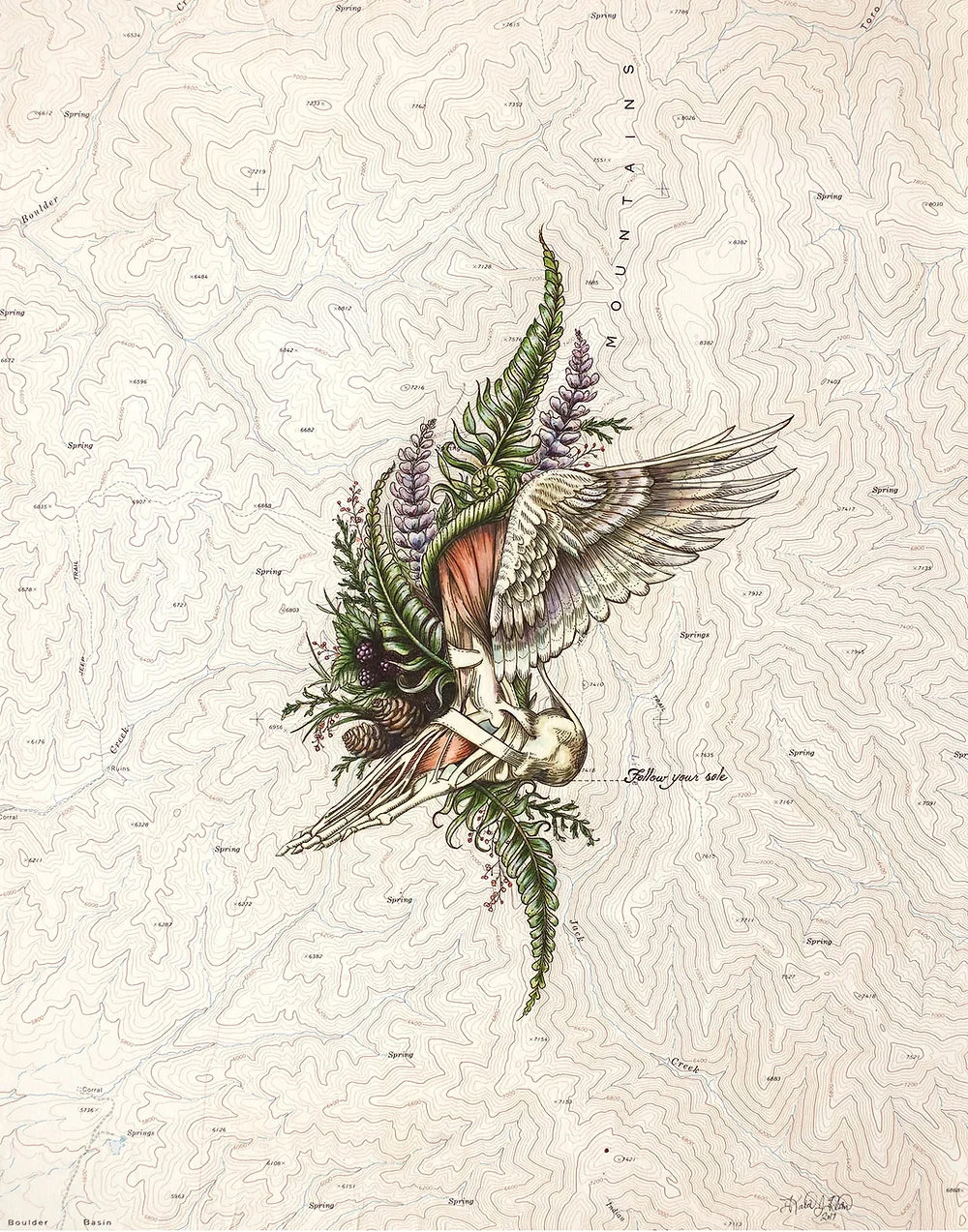 final switchback follow your sole foot anatomy print by Katie Jeanne Reim