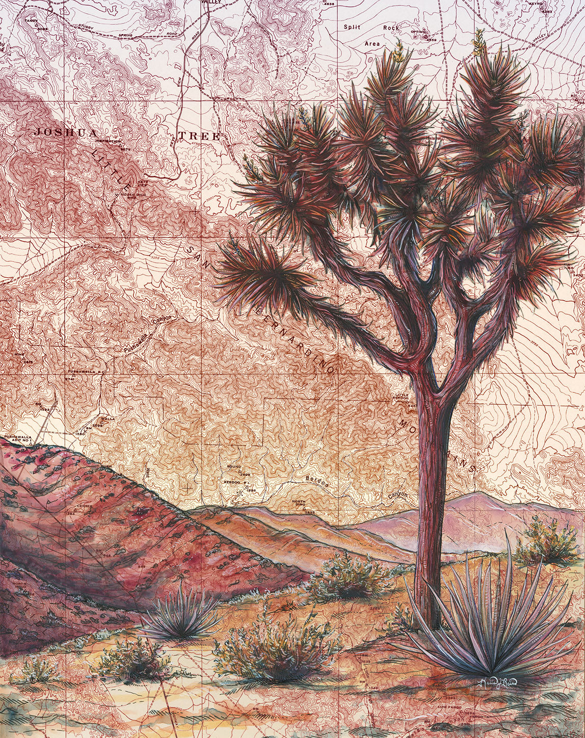 final switchback nature-inspired print of Joshua Tree, California, by artist Katie Jeanne Reim