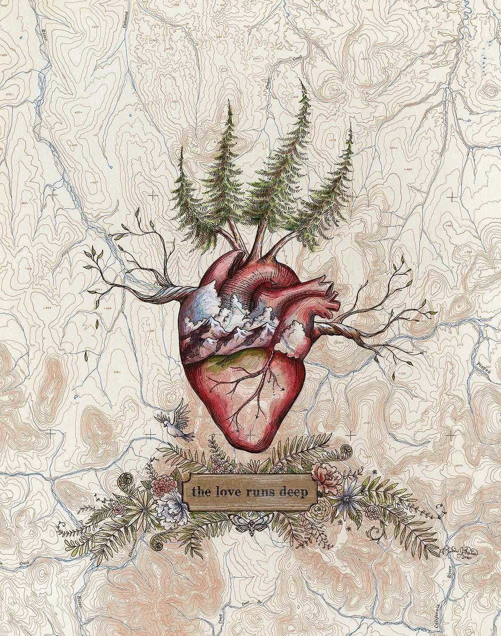 final switchback love runs deep heart anatomy print by Katie Jeanne Reim