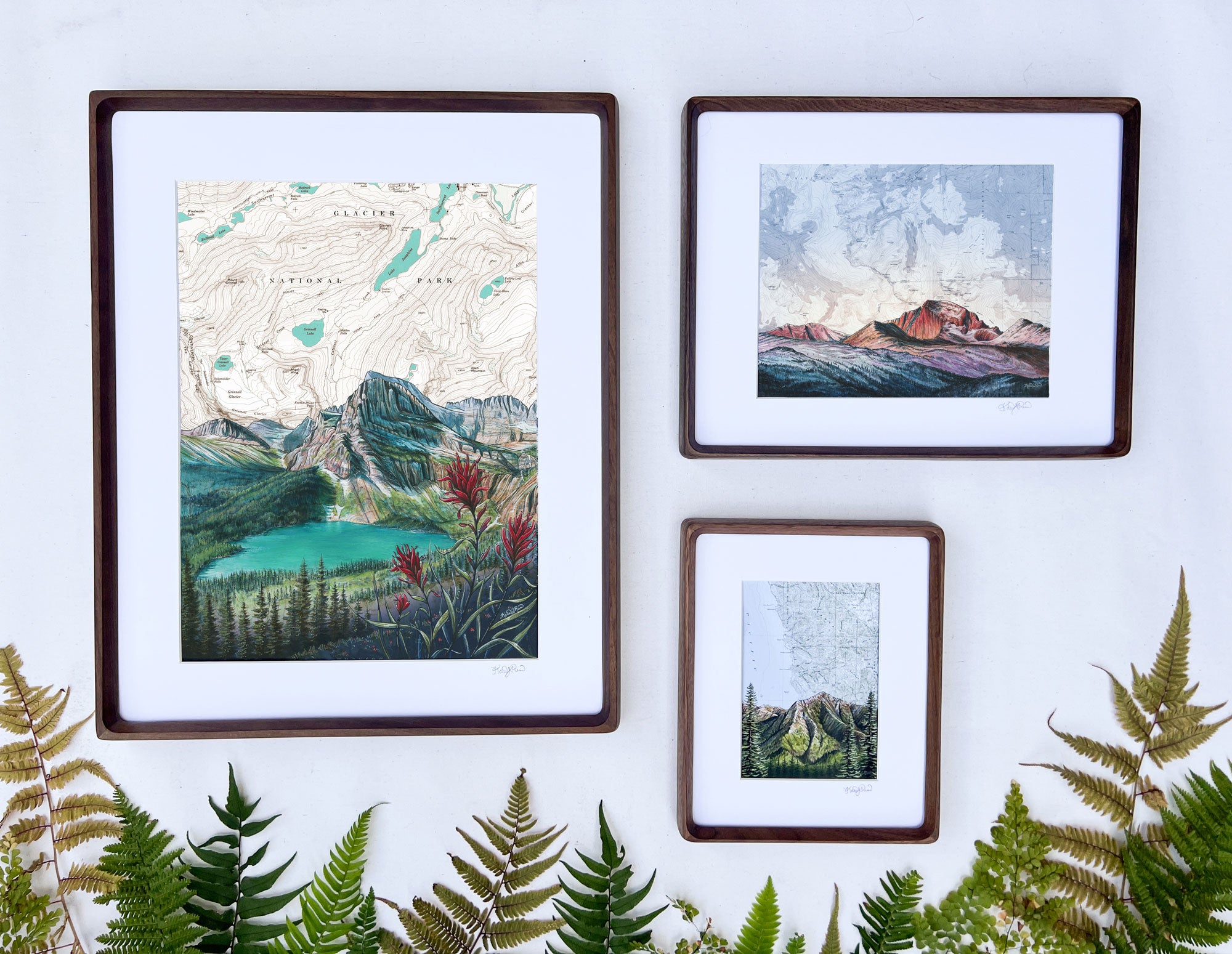 frames with final switchback by artist Katie Jeanne Ream prints on a white wall with some foliage