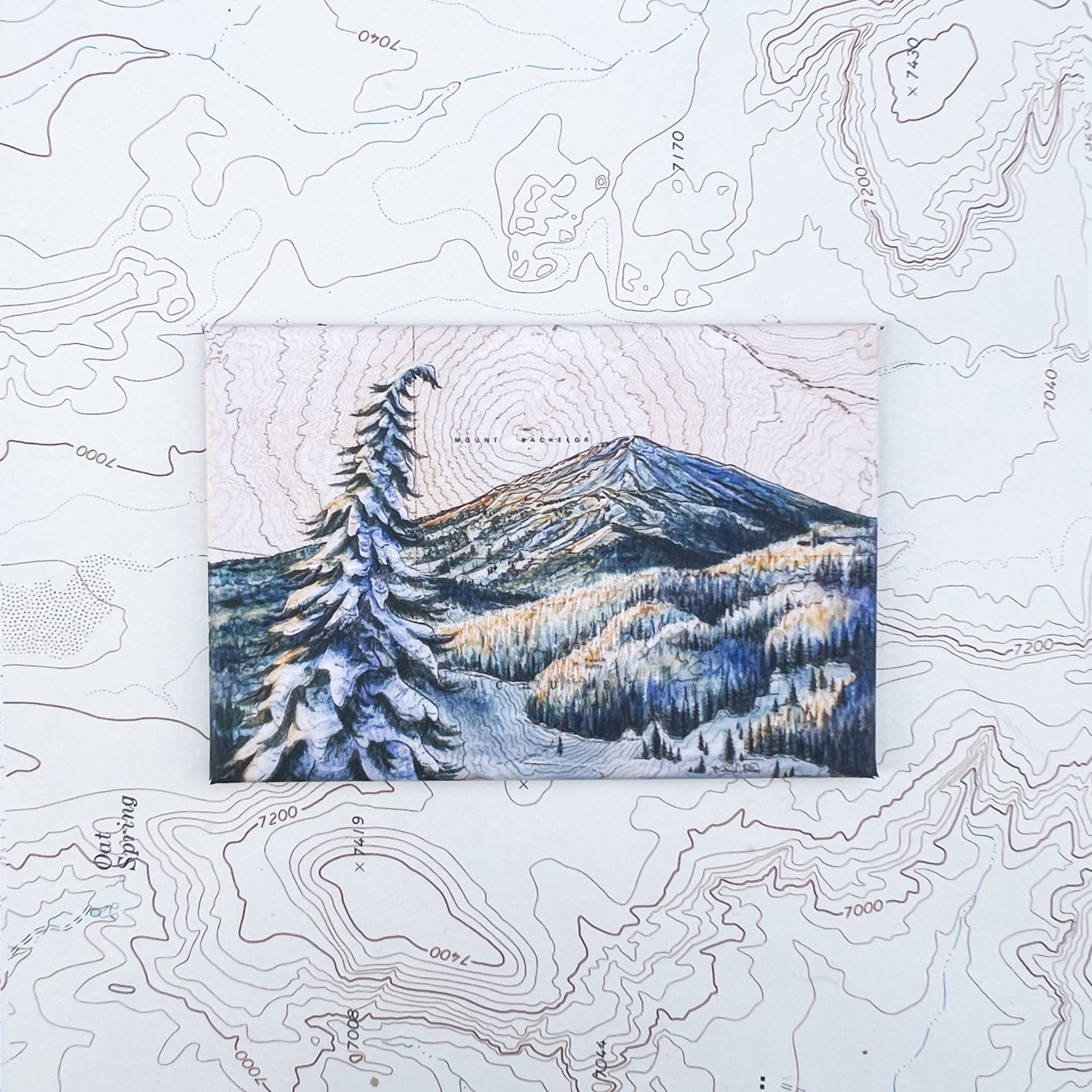 a final switchback button magnet featuring Katie Jeanne Reim's bachelor print