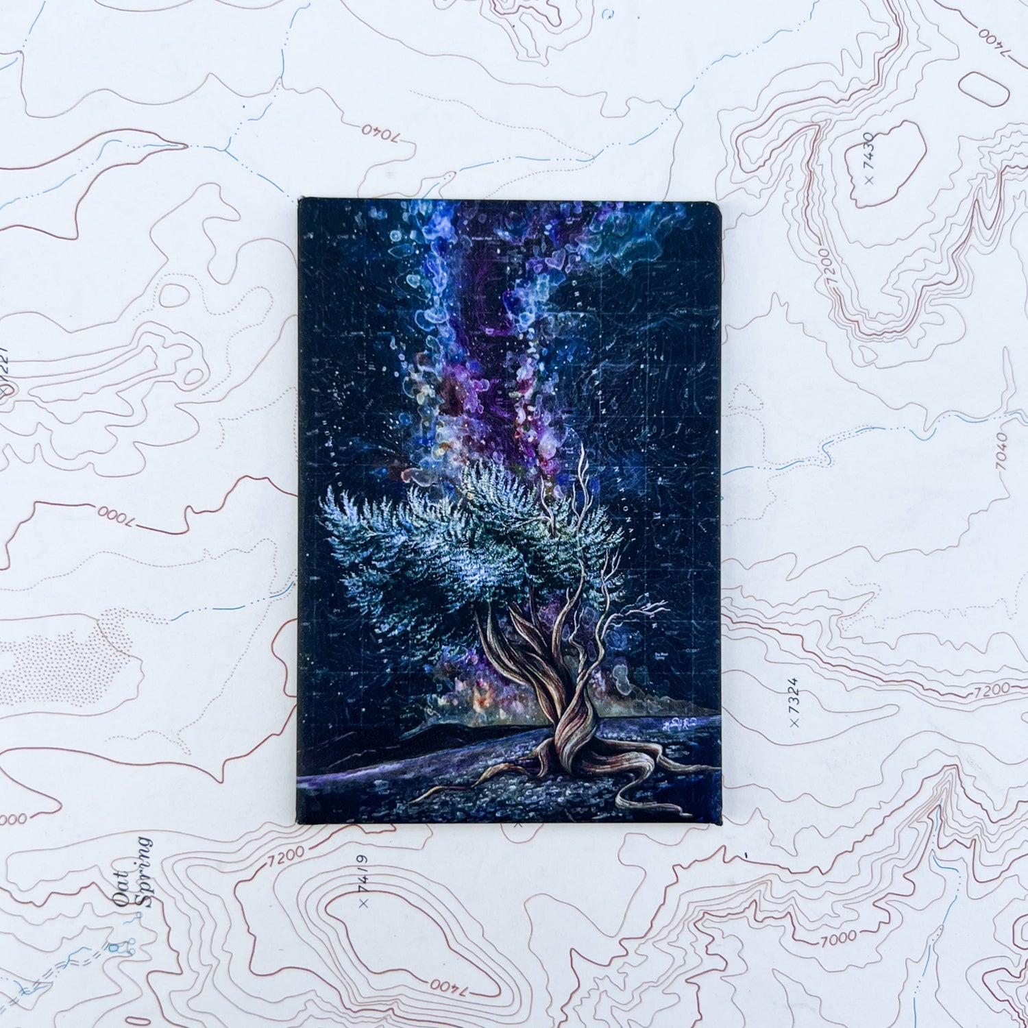 a final switchback button magnet featuring Katie Jeanne Reim's great basin bristlecone print