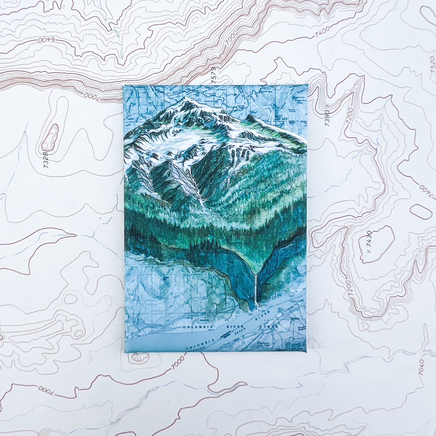 a final switchback button magnet featuring Katie Jeanne Reim's hood falls print
