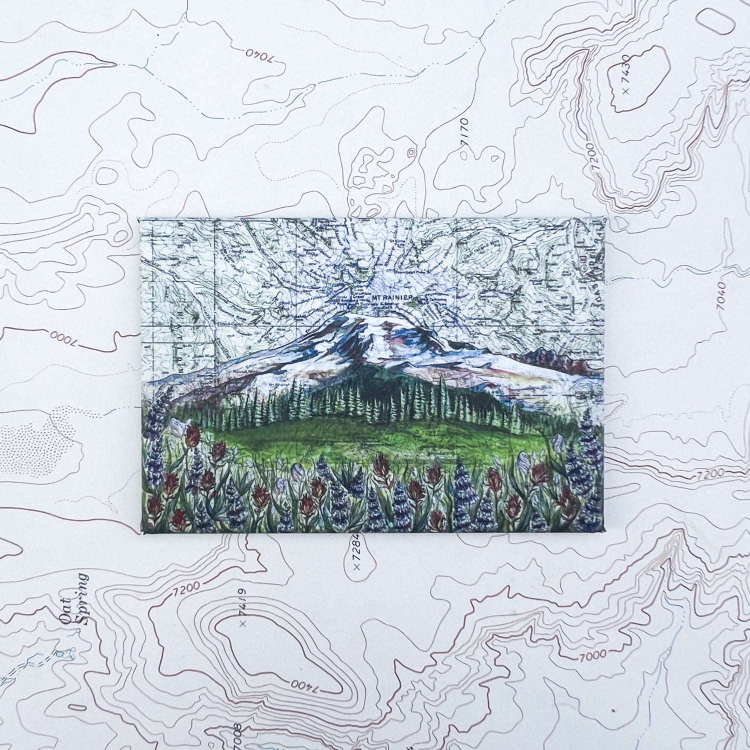 a final switchback button magnet featuring Katie Jeanne Reim's rainier wildflowers print