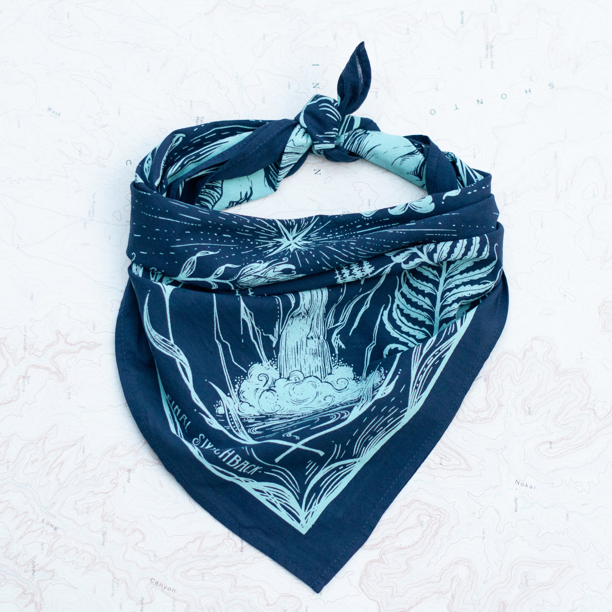 final switchback cotton bandana in PNW Navy featuring artist Katie Jeanne Reim's prints