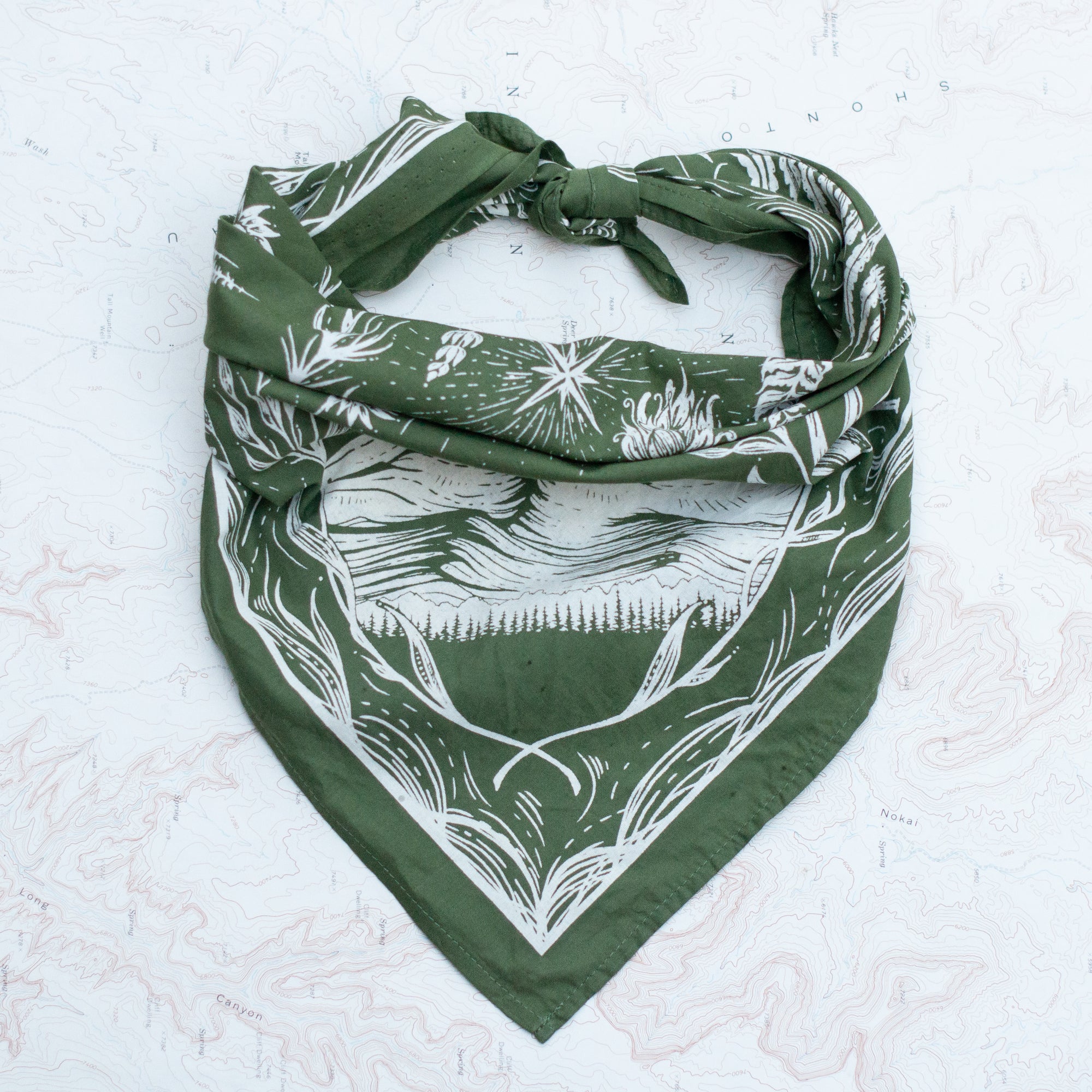 final switchback cotton bandana in PNW Olive featuring artist Katie Jeanne Reim's prints