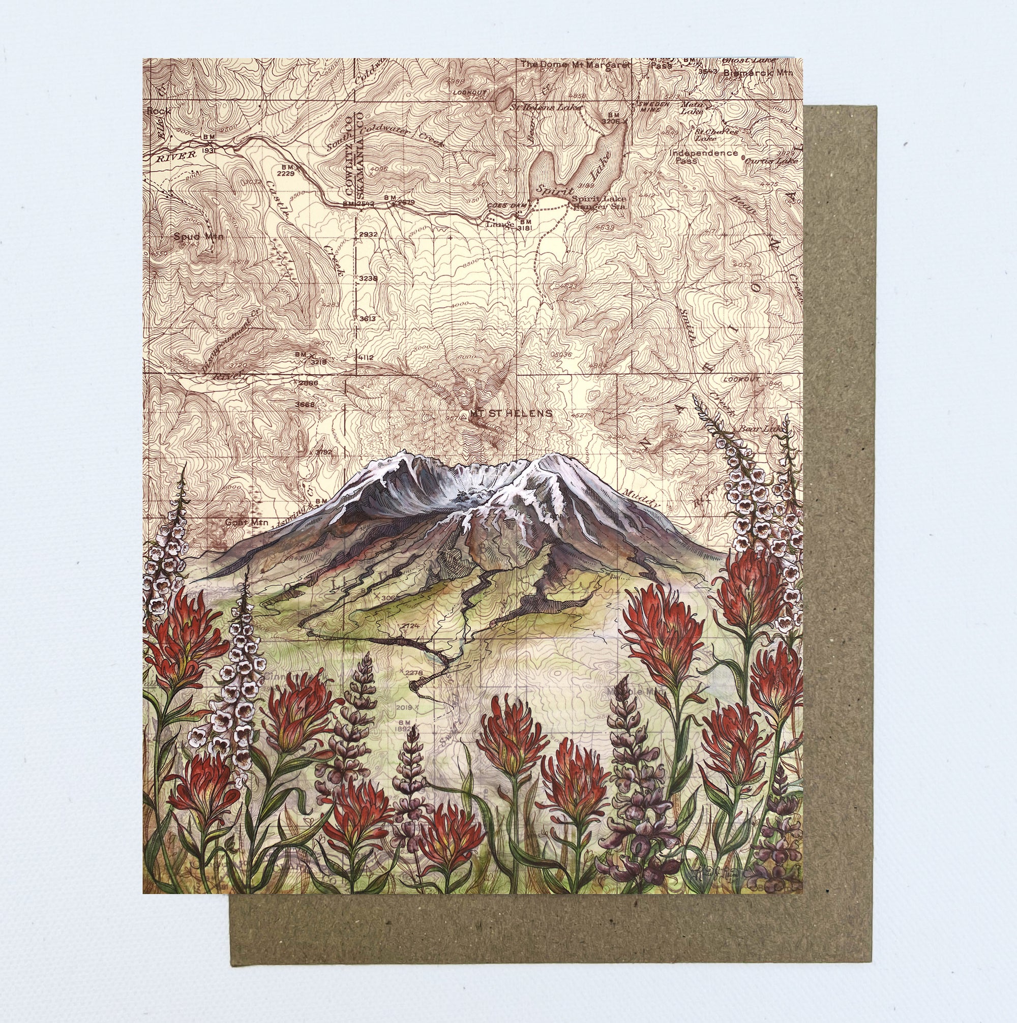 a final switchback greeting card featuring artist Katie Jeanne Reim's Saint Helens wildflowers, Washington, print