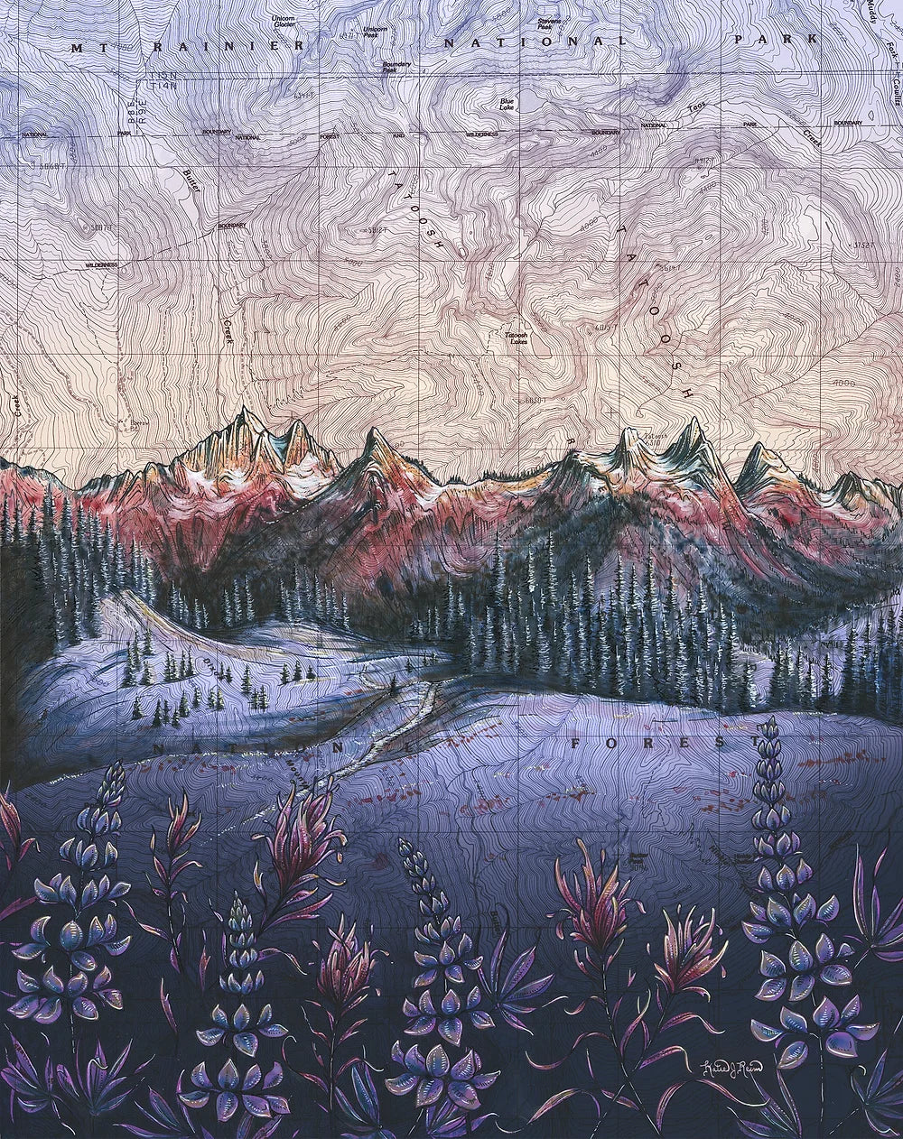 final switchback mount rainier national park tatoosh wildflowers in washington print by Katie Jeanne Reim