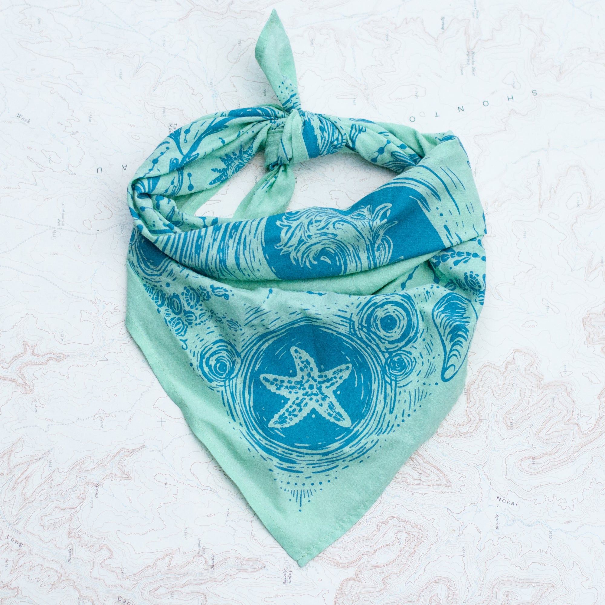 final switchback cotton bandana in Tidepool Shallow featuring artist Katie Jeanne Reim's prints