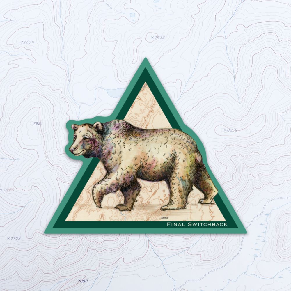 final switchback vinyl waterproof sticker featuring Katie Jeanne Reim's bear print