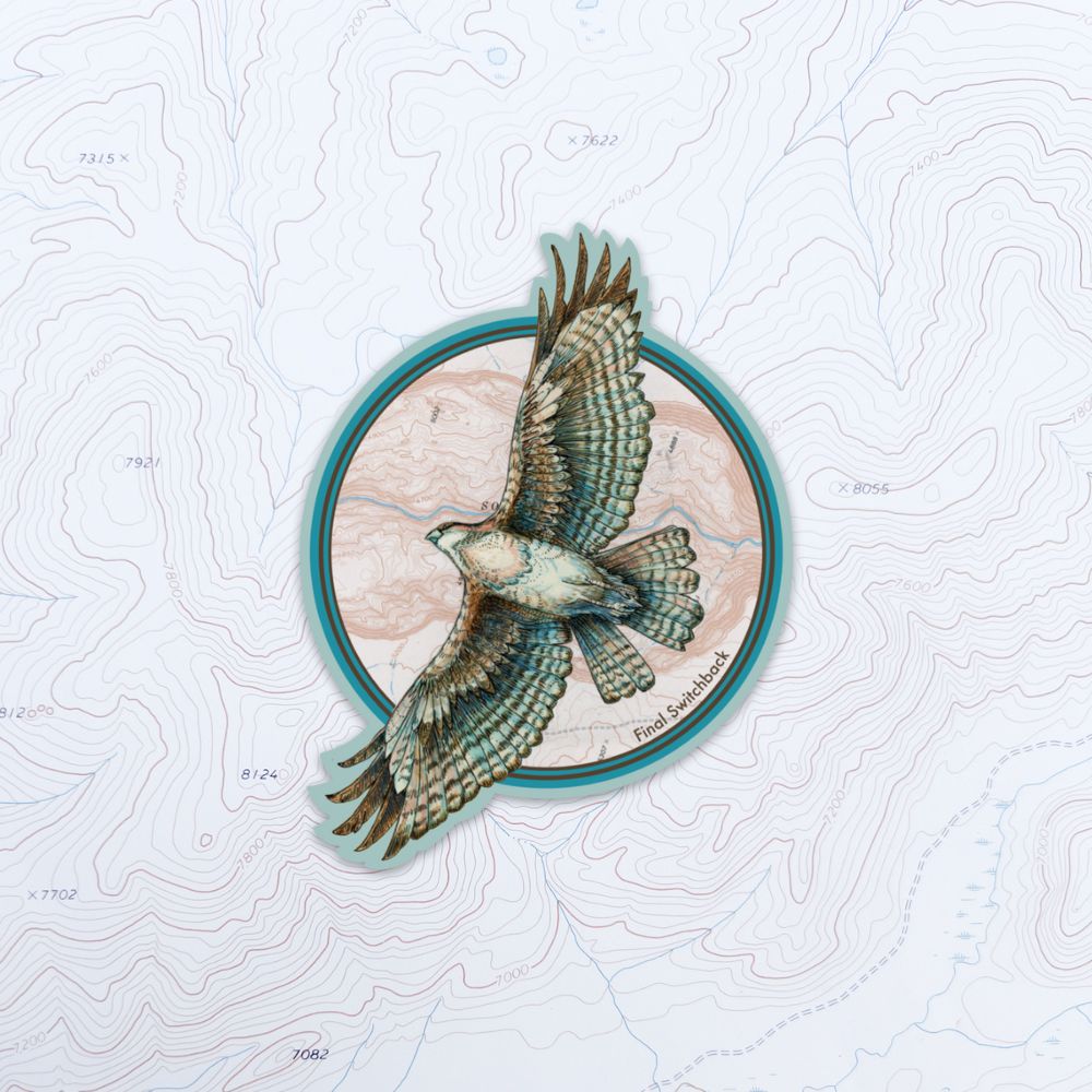 final switchback vinyl waterproof sticker featuring Katie Jeanne Reim's hawk print