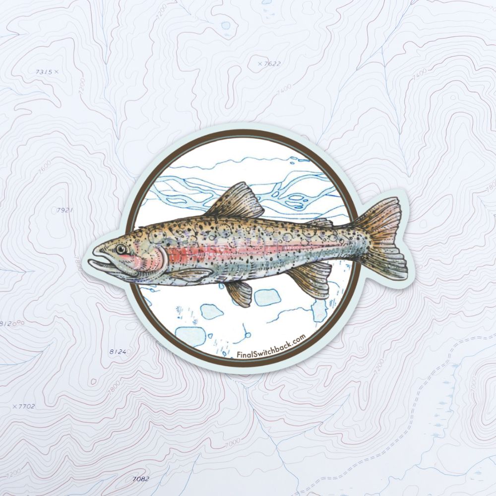 final switchback vinyl waterproof sticker featuring Katie Jeanne Reim's trout print