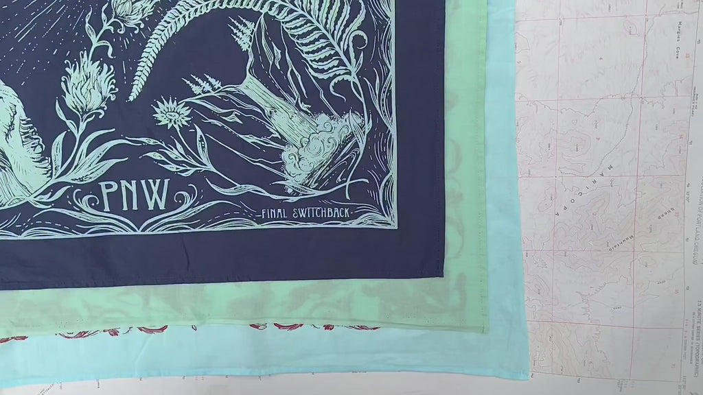 bandanas by final switchback featuring Katie Reim's art video