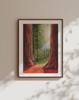 Redwood National Park Print