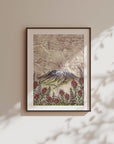 Mount St. Helens Wildflowers Print