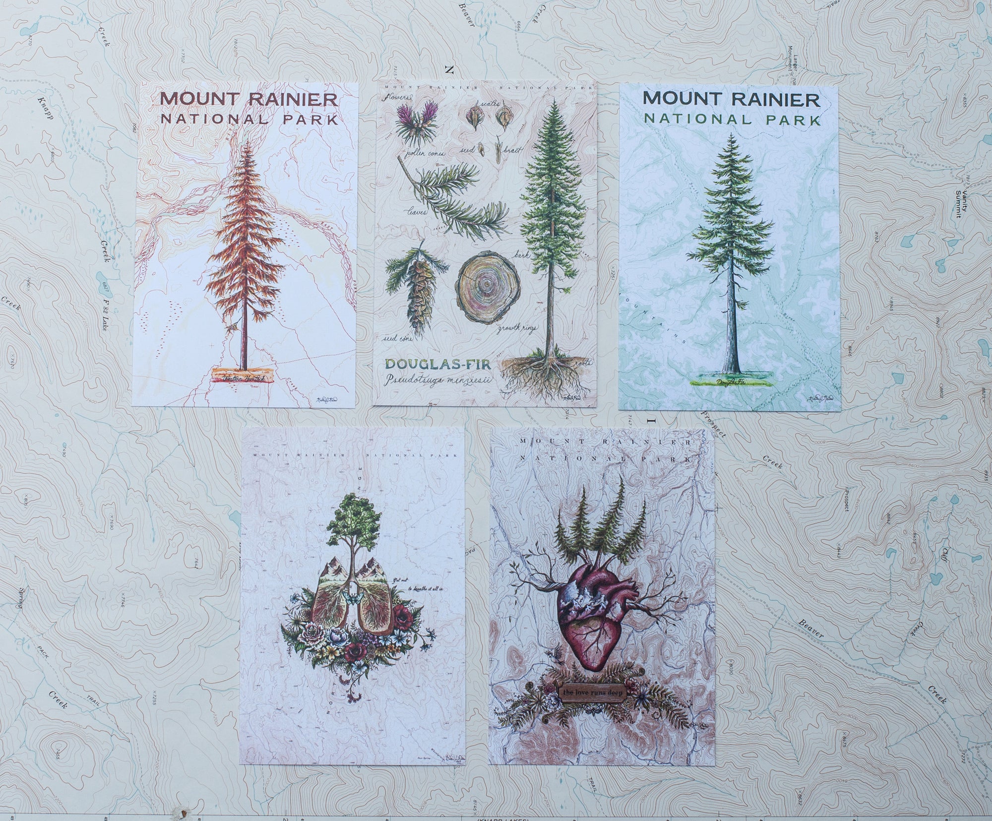 Rainier Collection Postcard Set RC: 100% to WTA
