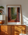 Redwood National Park Print