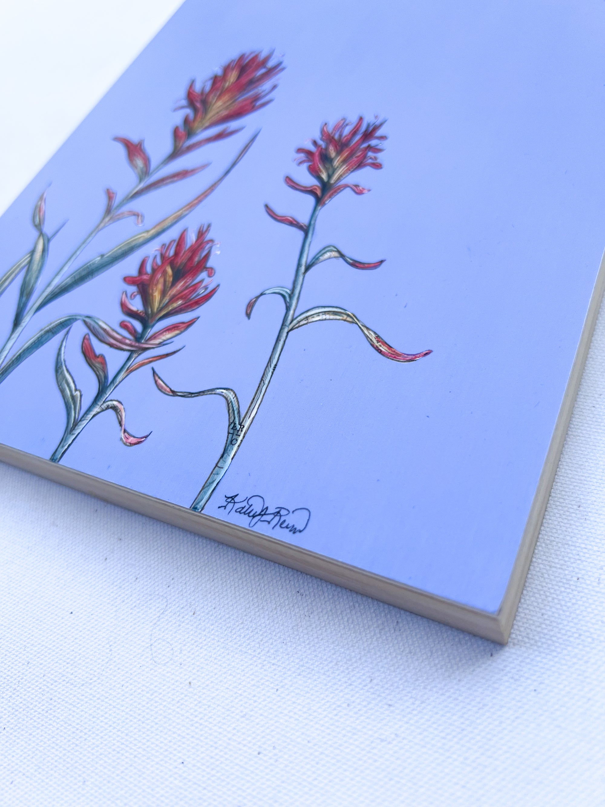 Wild Paintbrush Original Painting on Light Blue